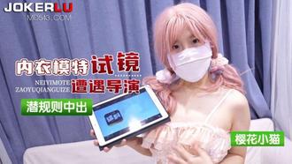  猛料 樱花小猫 内衣模特试镜遭遇导演潜规则